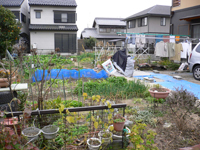 北側から撮影1