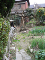 北側から撮影2
